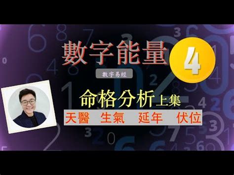 天醫 延年|【生氣天醫延年順序】解鎖你的生命密碼！生氣天醫延。